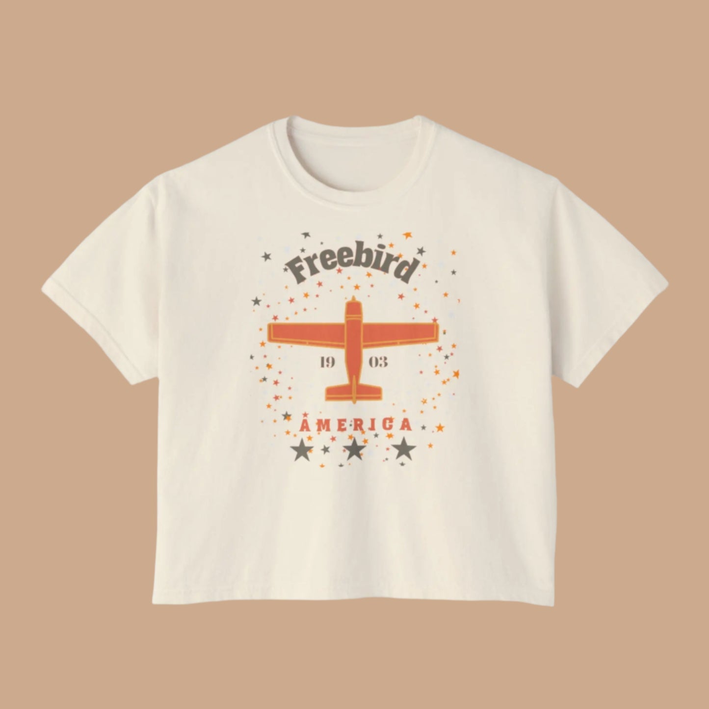 Cropped tee shirt with vintage airpane graphic and words Freebird America