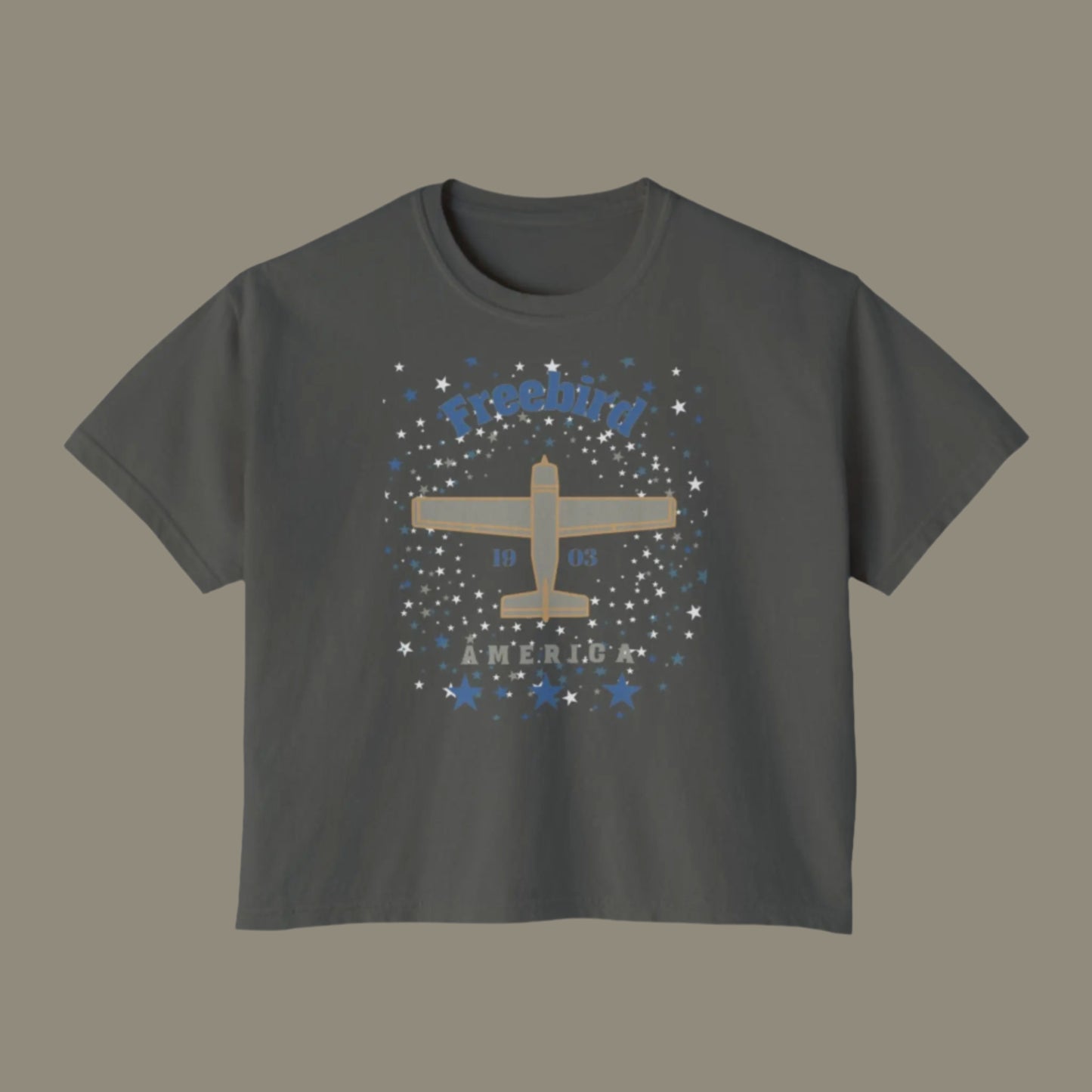 Cropped tee shirt with vintage airpane graphic and words Freebird America