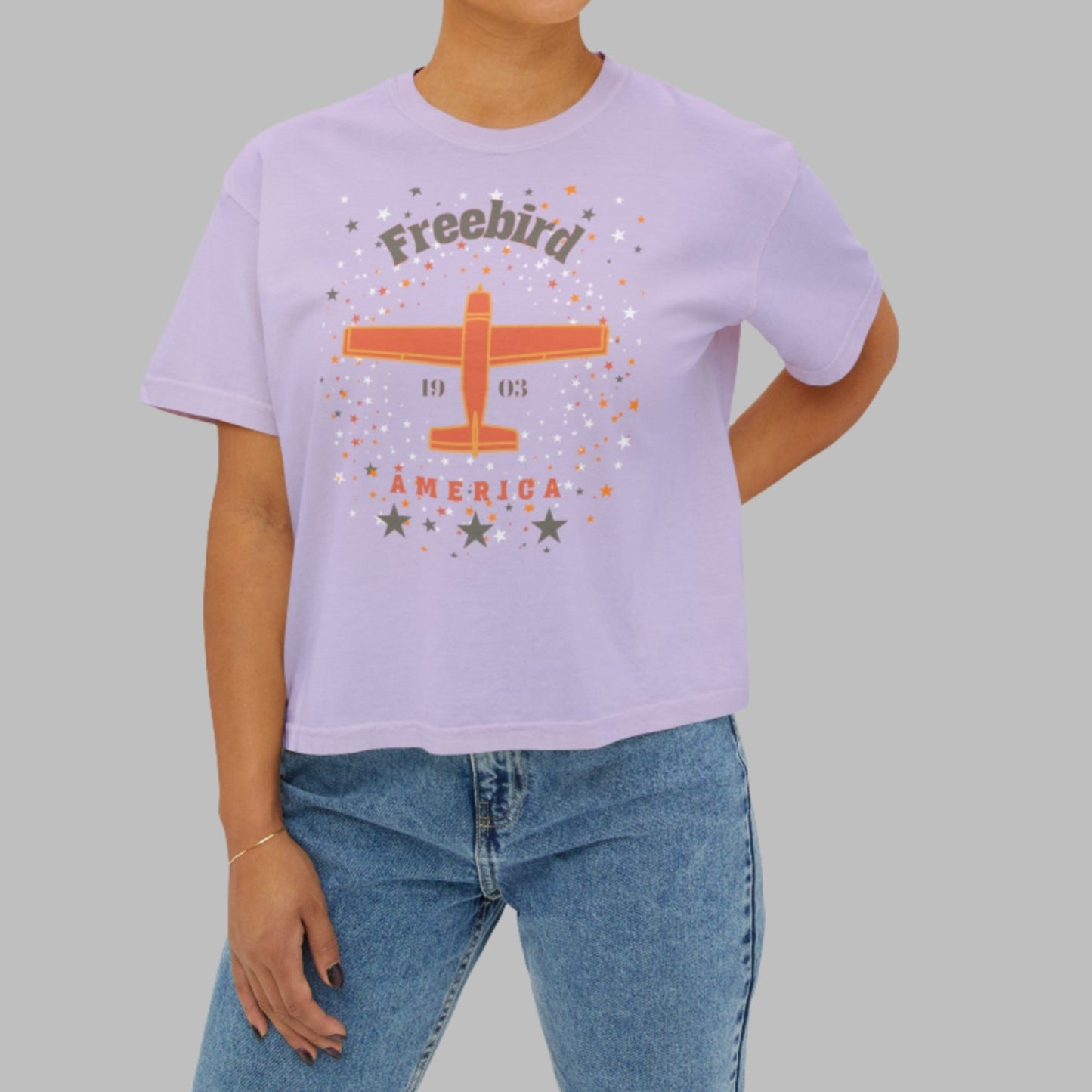 Cropped tee shirt with vintage airpane graphic and words Freebird America