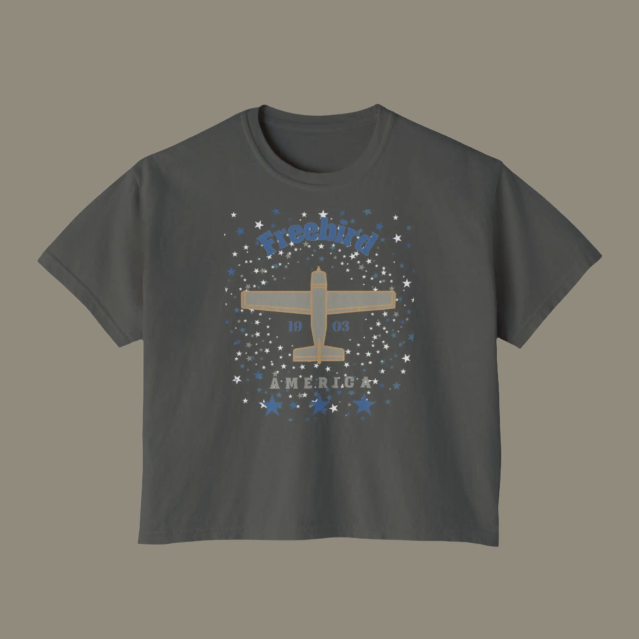Cropped tee shirt with vintage airpane graphic and words Freebird America