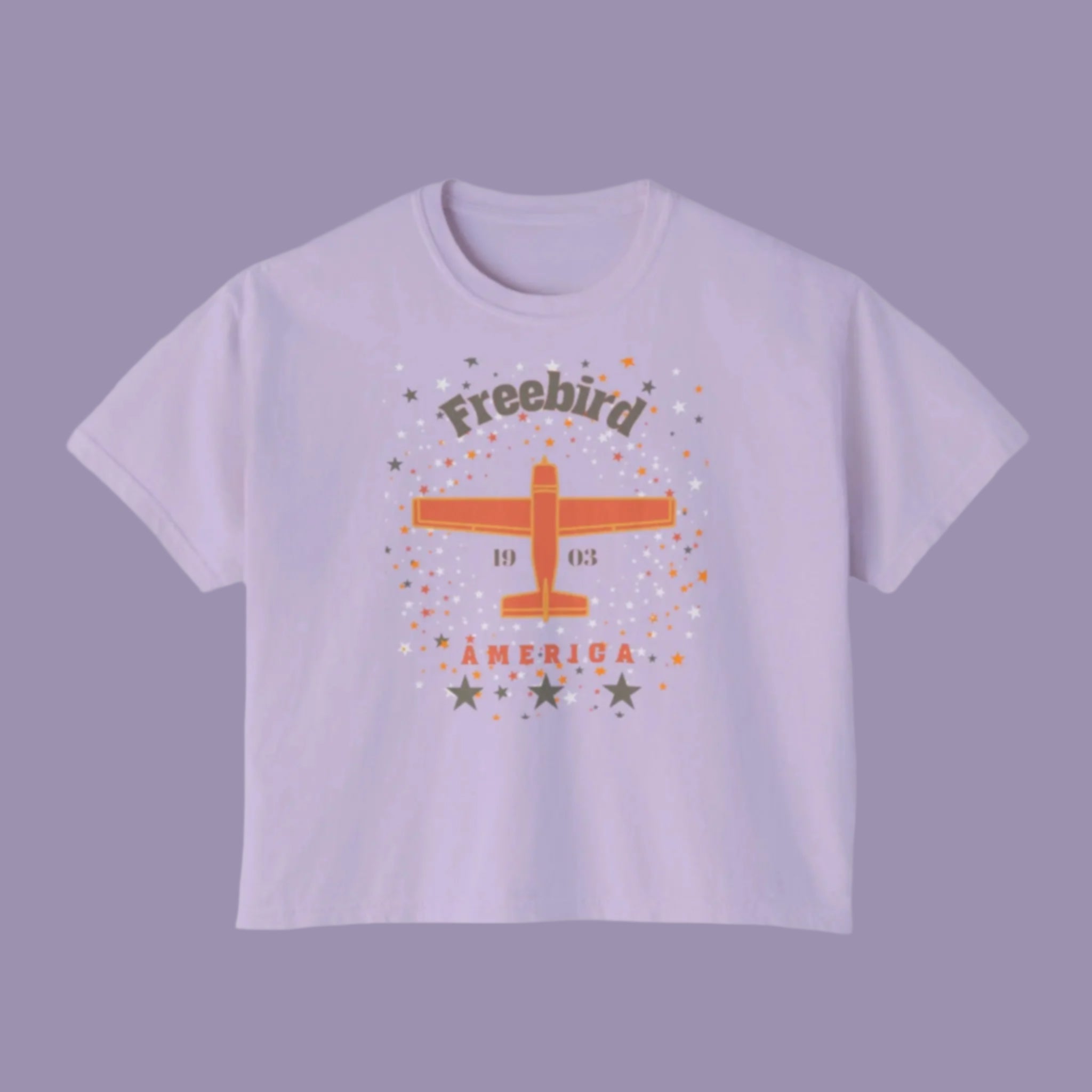 Cropped tee shirt with vintage airpane graphic and words Freebird America